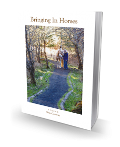 Bringing In Horses by Suzy Conway